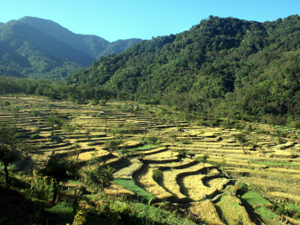 खोनोमा