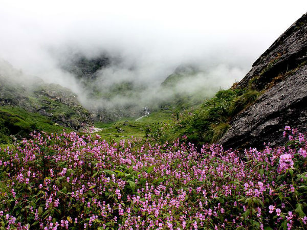 Valley of Flowers Valley of Flowers