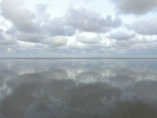 Chandipur Beach Chandipur Beach