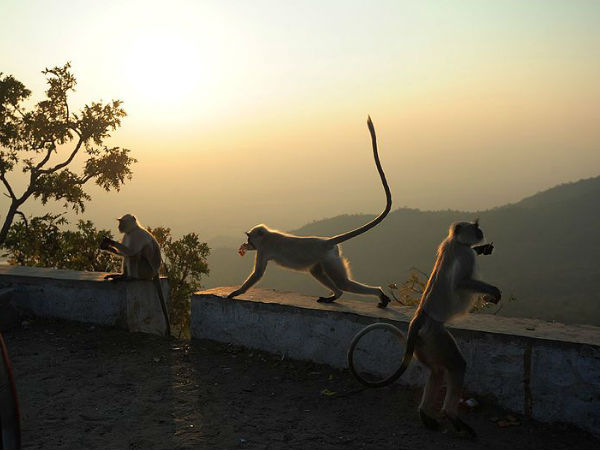 Mount Abu Mount Abu