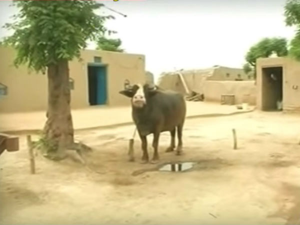 Firozpur Firozpur