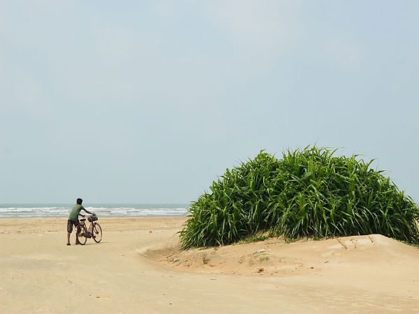 Tajpur Beach Tajpur Beach