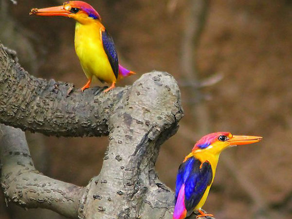 मुम्बई का संजय गाँधी नेशनल पार्क