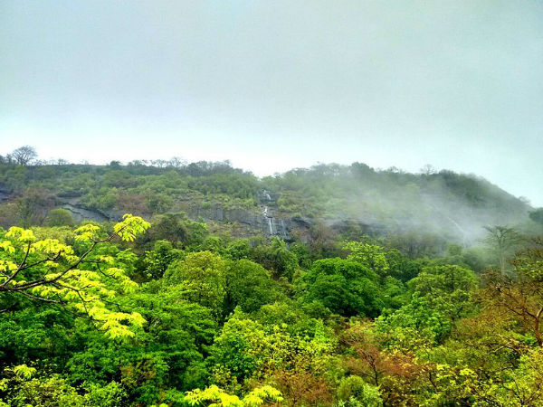 मुम्बई का संजय गाँधी नेशनल पार्क