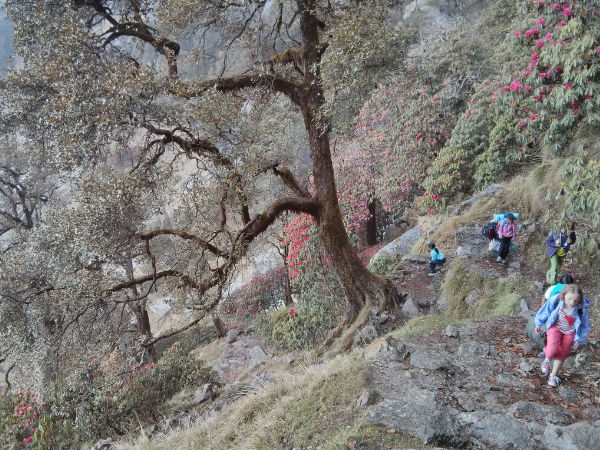 त्रिउंड ट्रेक
