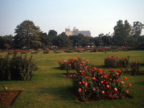 National Rose Garden National Rose Garden
