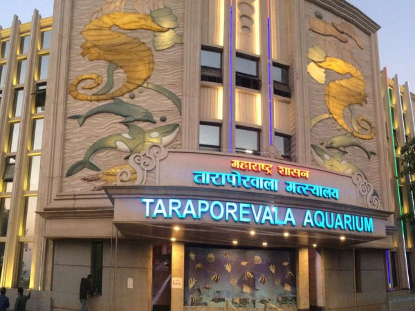 Most Famous Aquariums in India Most Famous Aquariums in India