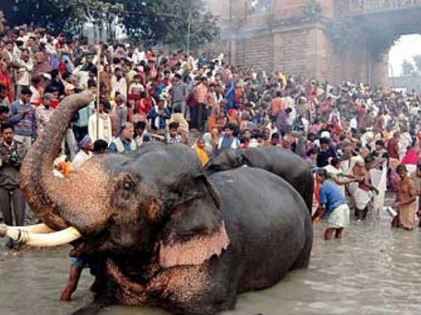 Sonepur Cattle Fair Sonepur Cattle Fair