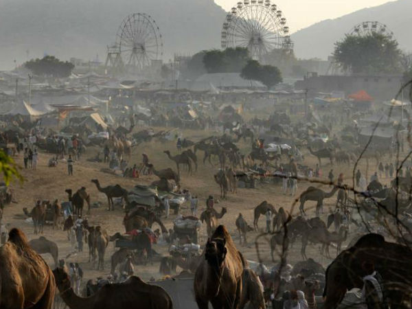 Sonepur Cattle Fair Sonepur Cattle Fair