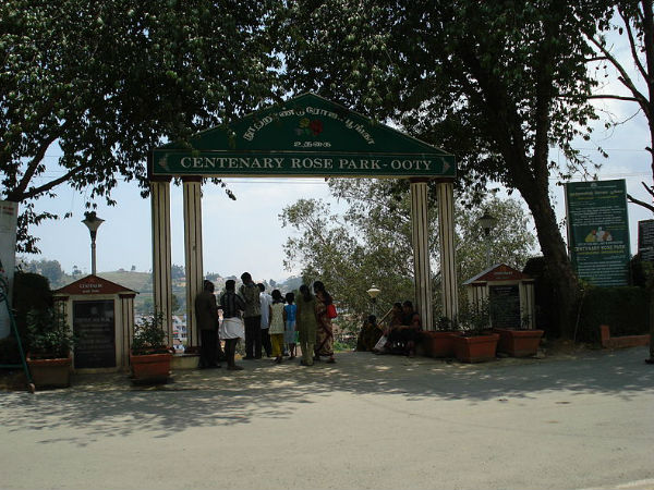 Government Rose Garden, Ooty Government Rose Garden, Ooty