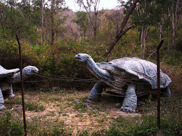Shivalik Fossil Park Shivalik Fossil Park