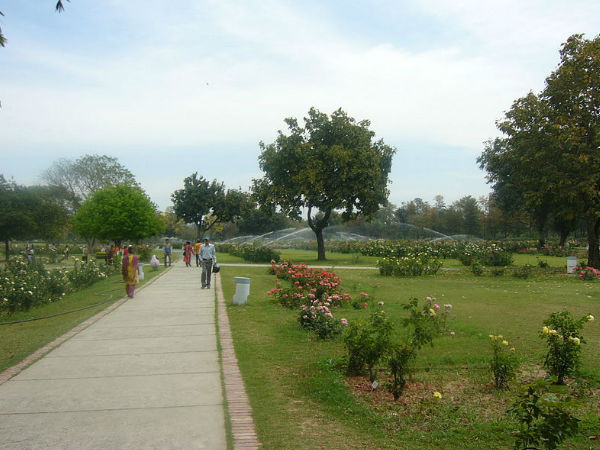 Zakir Hussain Rose Garden Zakir Hussain Rose Garden