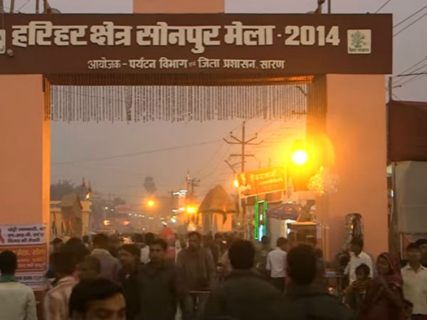 Sonepur Cattle Fair Sonepur Cattle Fair