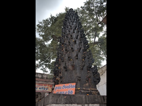 कुश विशेष प्रसाद का चढ़ावा