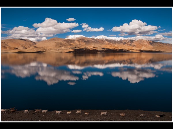 त्सो मोरीरी झील