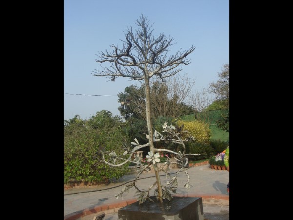 गार्डन ऑफ़ फाइव सेंसेस जाएँ कैसे?