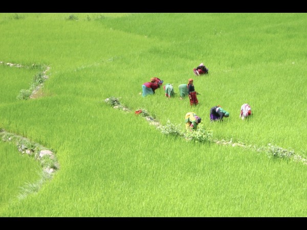 भौगोलिक स्थिति