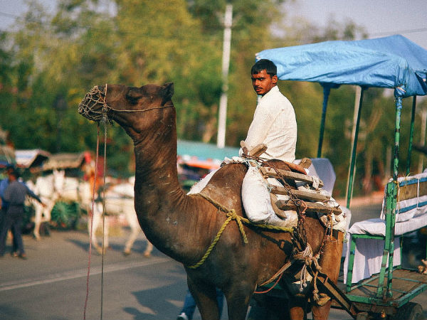 India Travel Tips India Travel Tips