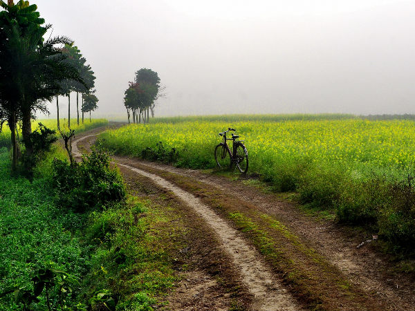 India Travel Tips India Travel Tips