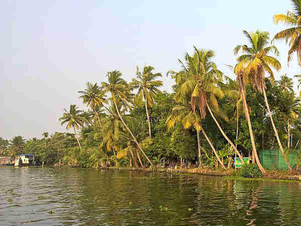 अलेप्पी
