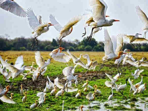 10 Weekend Getaways From Delhi 10 Weekend Getaways From Delhi