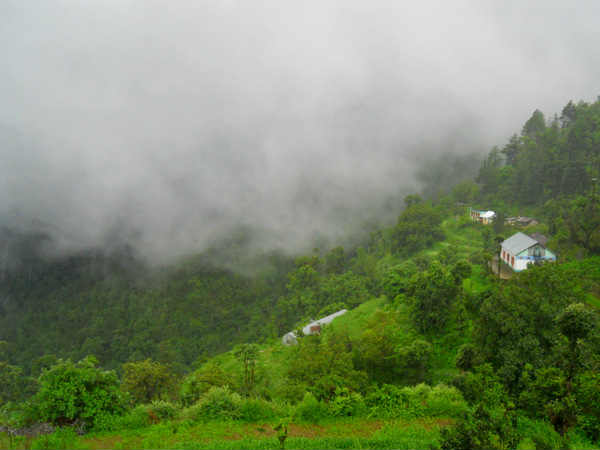 Delhi-Shimla-Kufri-Chail Delhi-Shimla-Kufri-Chail