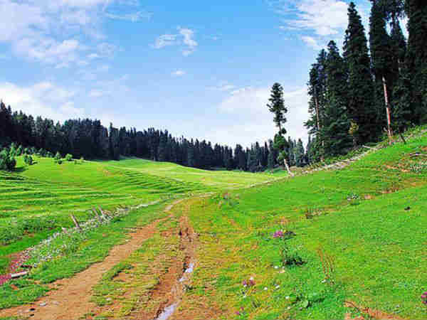 4day Beautiful road Trip to The Heaven of Earth: Gulmarg! 4day Beautiful road Trip to The Heaven of Earth: Gulmarg!