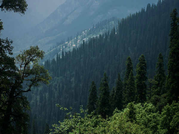 weekend road trip from delhi to jalori pass weekend road trip from delhi to jalori pass