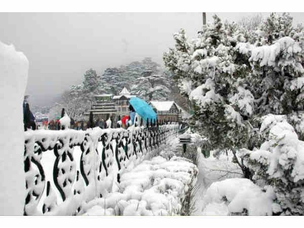 Delhi-Shimla-Kufri-Chail Delhi-Shimla-Kufri-Chail