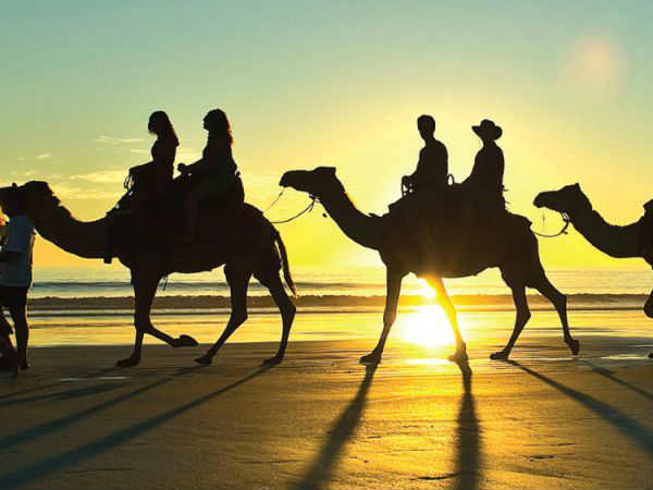 the Kutch Rann Utsav: Full Moon Celebrations in White Sand the Kutch Rann Utsav: Full Moon Celebrations in White Sand
