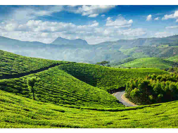 these Places to visit in March these Places to visit in March