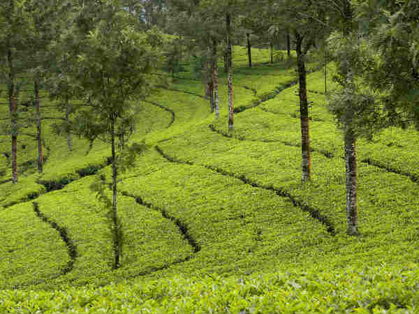 Most Overrated Tourist Places In India Most Overrated Tourist Places In India