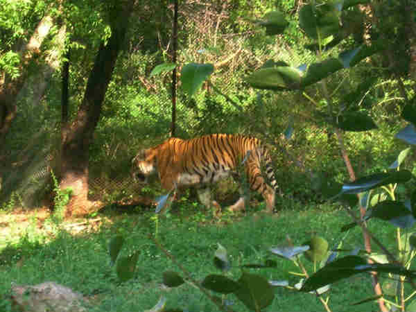 places to see in palampur places to see in palampur