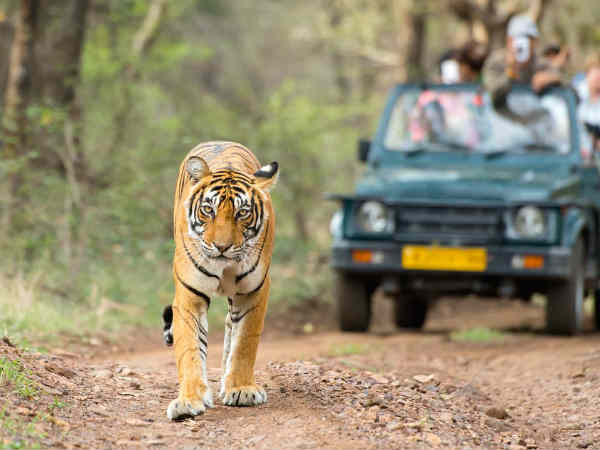 these Places to visit in March these Places to visit in March