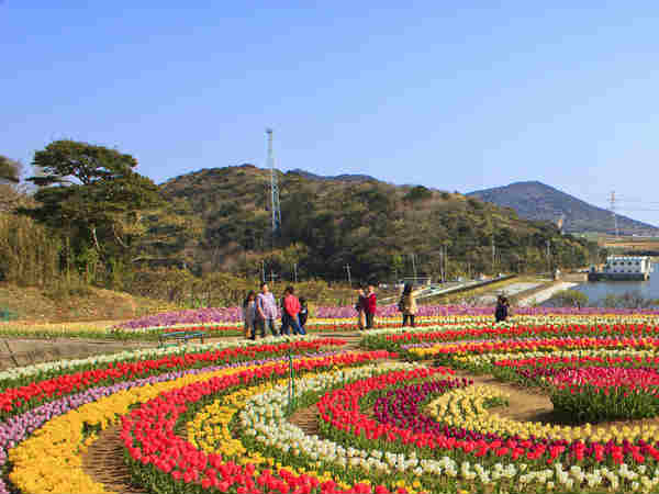 Places to visit in Srinagar Places to visit in Srinagar