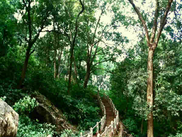 मैनपाट - छत्तीसगढ़