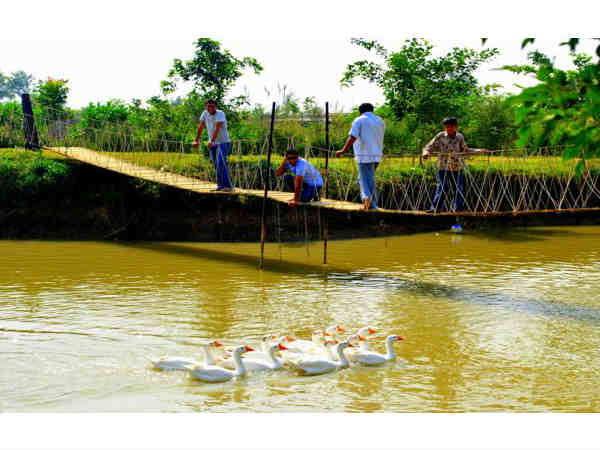 प्रतापगढ़ फार्म्स (दिल्ली से 57 किमी दूर)