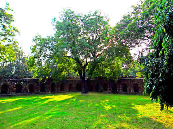 टिप्स