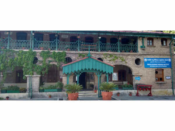 भारतीय पशु चिकित्सा अनुसंधान संस्थान