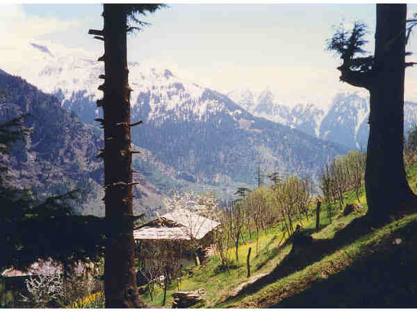 ट्रेकिंग के दौरान जरूरी चीजे