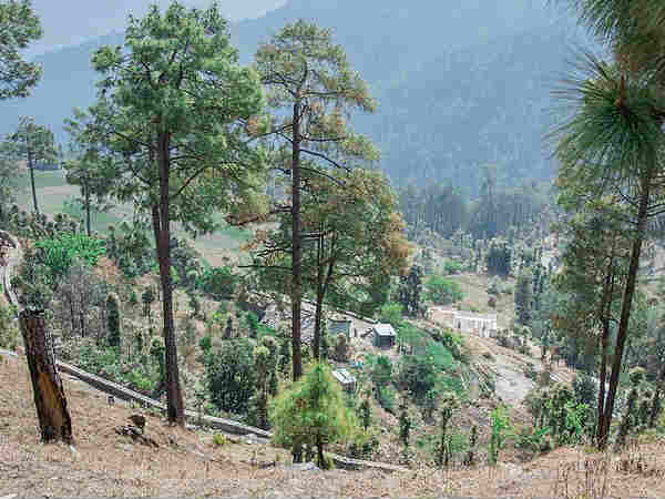 कैसे पहुंचे बिनसर