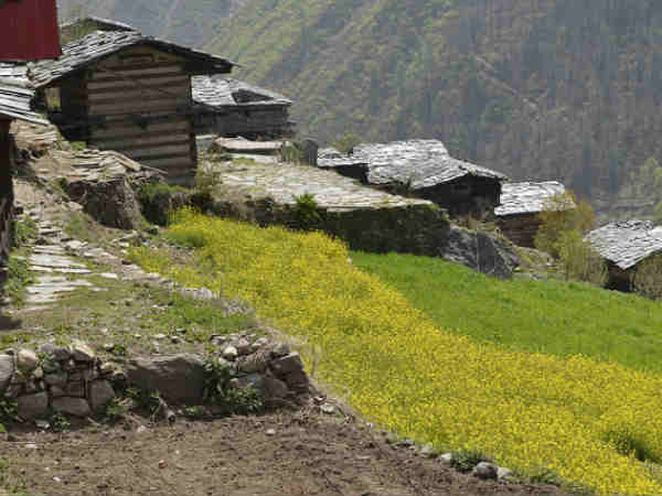 चौथा दिन- ओस्लाट्रेक - हर की दून (11 किमी)