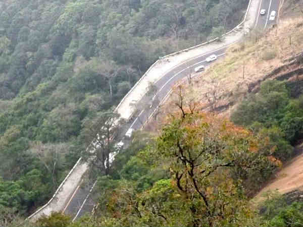 वायनाड पास