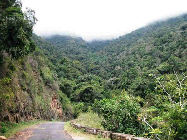 बैंगलोर - ऊटी