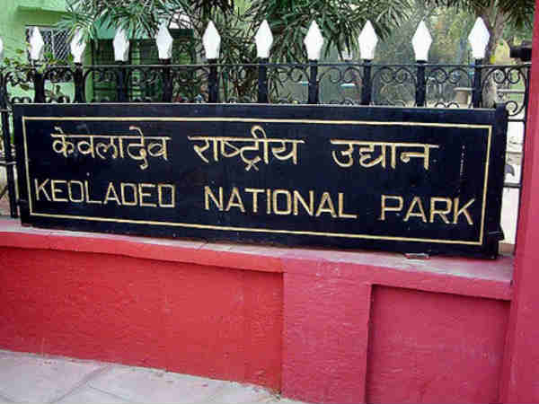 keoladeo-national-park travel guide keoladeo-national-park travel guide