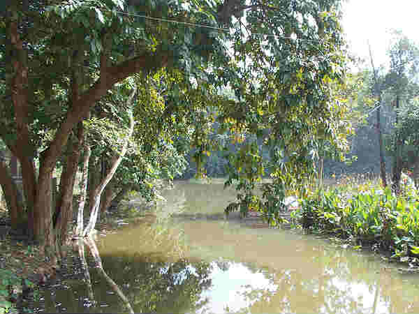 हजारीबाग वन्यजीव अभयारण्य