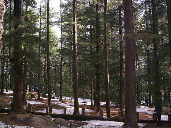 कैसे पहुंचे कुल्लू-मनाली