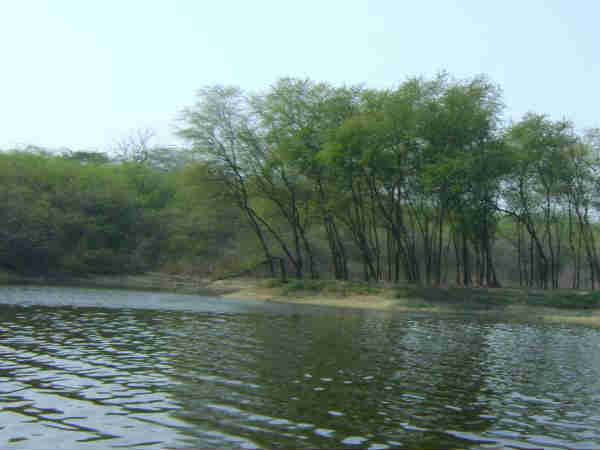 कैसे पहुंचे