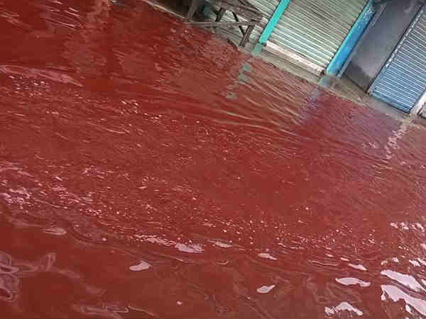 कोत्तायम, इदुकी, केरला