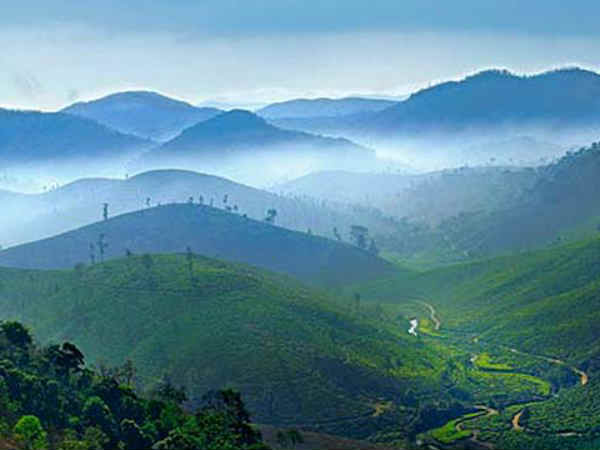 नीलगिरि